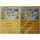 2er Set Pikachu 19/68 Common/ Reverse Holo - Hidden Fates - Englisch NM